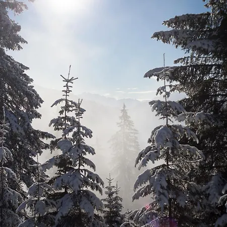 Jugendherberge Trin